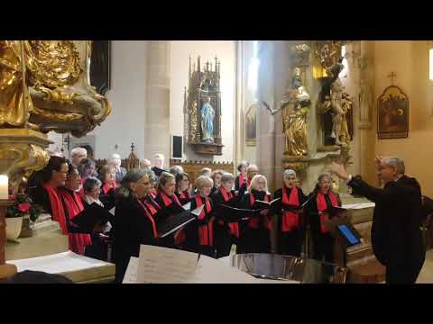 A Spur durch'n Schnee (Christian Dreo)