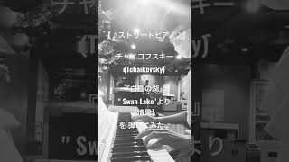 Download lagu 【ストリートピアノ】『白鳥の湖』（チャイコフスキー）より【情景】を弾いてみた ♪ mp3