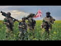 Georgian Legion In Ukraine ️