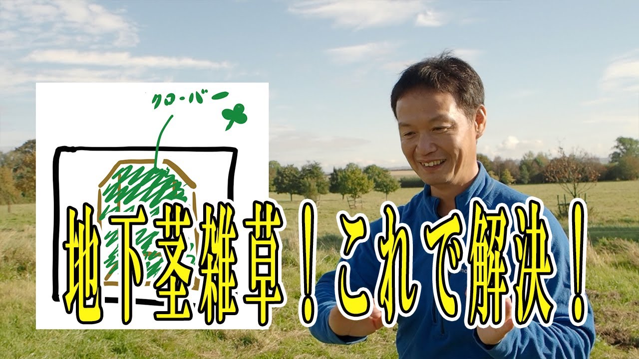 地下茎雑草の対策と水を弾く土の再生法