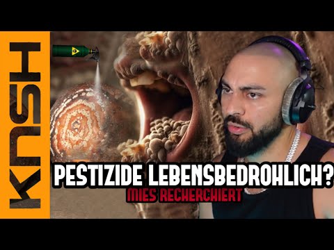 HABEN wir keine andere WAHL?!  ☠️⚠️| XXL FOLGE | MIES RECHERCHIERT