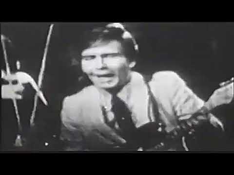 “I Fought The Law” - Bobby Fuller Four (1966)
