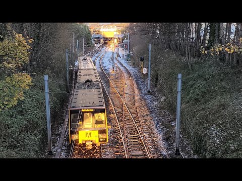 Photo Showcase - November 2021