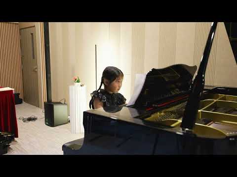 Li Jia Lu - Bloody Mary by Lady Gaga & Fur Elise