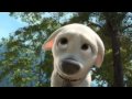 Bolt I Thought I Lost You