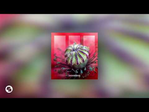 Path Of Youth - Weightless