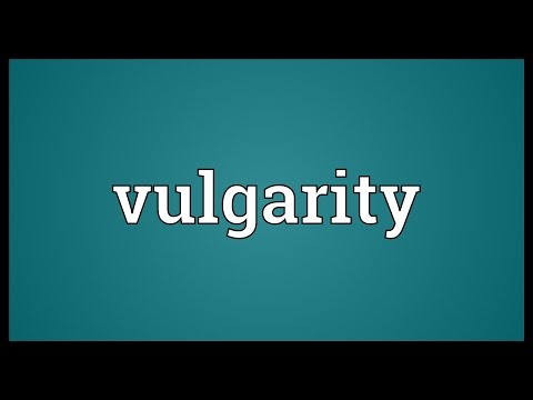 Vulgarity Meaning