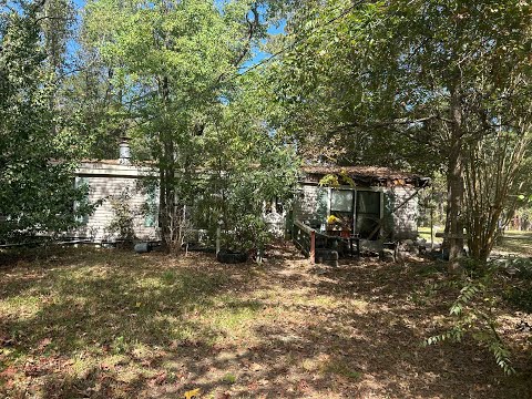 NEW LISTING: 623 East Spruce Street Huntington TX 75949