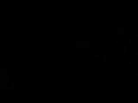 Firefly and crickets