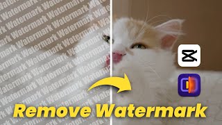 How to Remove Watermark from Video for FREE Using CapCut & HitPaw VikPea
