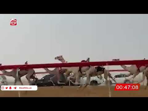  ش 9 (الشاهينيه) لـ سعيد محمد مبارك المهيري 2:16 , شارة الصندوق 2026/06/14 فطامين سويحان   