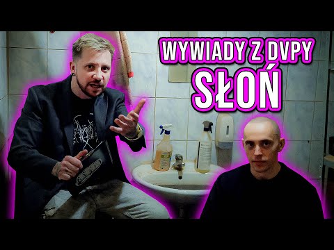 Dvpy Interviews #11 - ELEPHANT