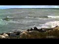 Шторм на Балтике Тюлени стонут чайки смеются Storm in Baltic Sea seals groan gulls ...