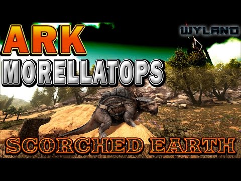 Ark Survival Scorched Earth - Morellatops Overview + How to Fill Up The Hump with Water