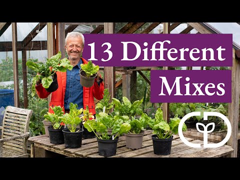 Compost Testing and Final Result