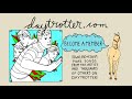 High Places - Namer - Daytrotter Session