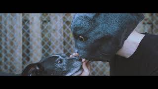 The End Of The Ocean "bravado"