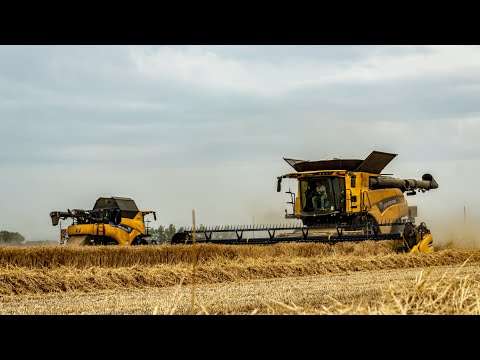 Harvest 2022 | NewHolland CR 9.90 *Draper 35ft 10,7 m* & CR 7.90 | JCB & Vaia | Campagna Grano 💥🔝