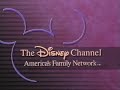 The Disney Channel Id 1993