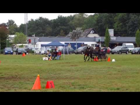 Fahrturnier Lette 17.9.2016