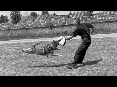 Messy Mapet - protection 10 months