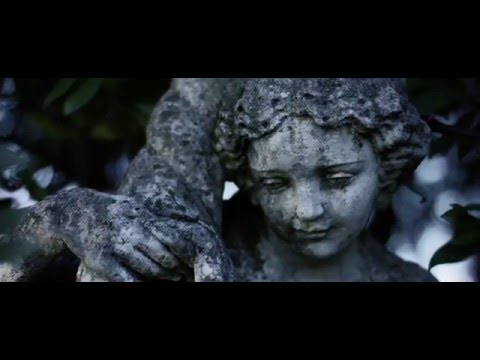 Видеообзор