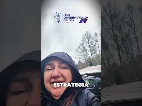 🥇 ¡Se Acabaron las Fichas de Papel! La Modernización Llegó a Pedregoso