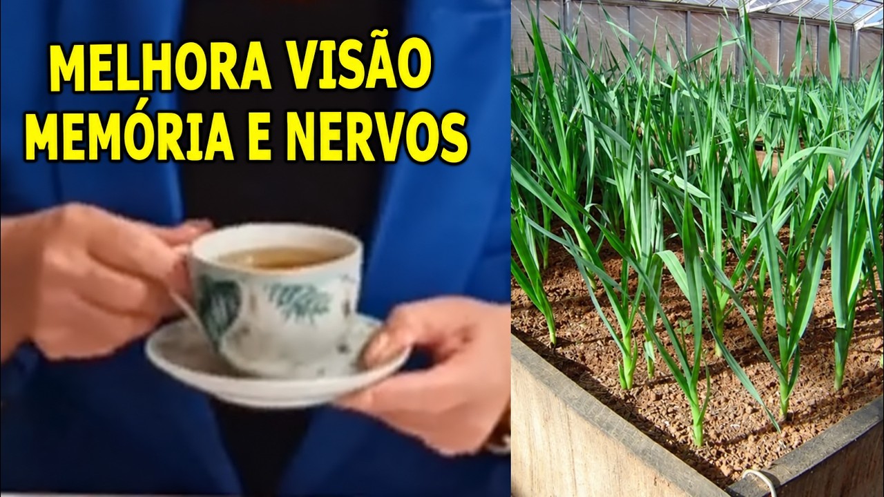 Melhora a Memória, a Visão e os Nervos, Combate Hérnia de Disco... #Remédio 💖 MARILENE SARAH FIALHO
