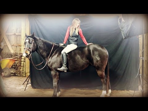 OUR HORSES ARE PROFESSIONAL  MODELS FOR A DAY!  Day 025 (01/25/20)
