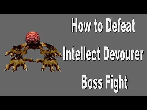 Neverwinter Nights Enhanced Edition How to Defeat Intellect Devourer Boss Fight