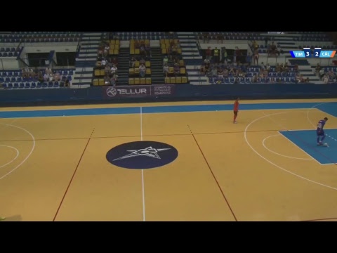 Futsal LIVE: Informatica Timisoara -  Futsal Club Dunarea Calarasi
