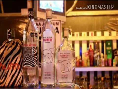 เพลง Pitbull มันฯ