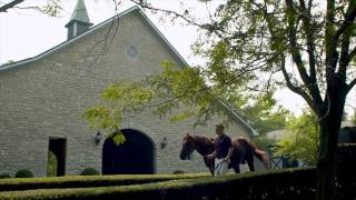 Kentucky Horses - Kentucky Horse Farms - Visit Kentucky