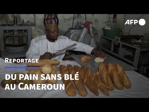 , title : 'Cameroun : du pain sans blé, le pari gagnant d'un boulanger de Yaoundé | AFP'