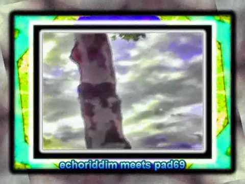 TENA STELIN meets TNT ROOTS - peacefull dub - ( red eyes full of smoking clouds )