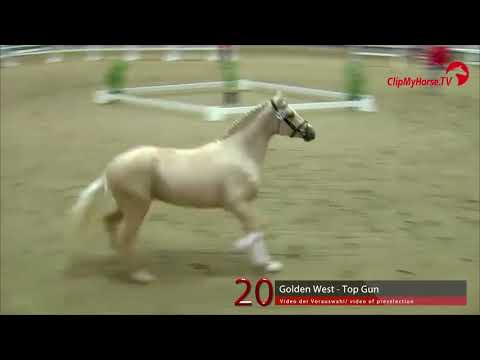 20 Junghengst v. Golden West - Top Gun I