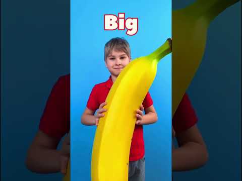 Is It BIG? 🍌 Is It SMALL? 🍫 The Size Game! ✨