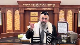 איך קרה שקהילה שלמה לא יצאה ידי חובת תקיעת שופר במשך 10 שנים (הרב יצחק ישראלי) - התמונה מוצגת ישירות מתוך אתר האינטרנט יוטיוב. זכויות היוצרים בתמונה שייכות ליוצרה. קישור קרדיט למקור התוכן נמצא בתוך דף הסרטון