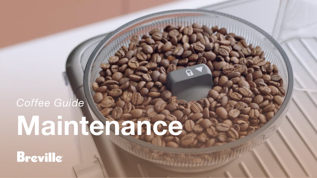 How to clean grinder conical burrs