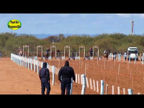 Pequeña Lulu. Hip. "DIFUNTA CORREA" Patquia. 09.07.2018