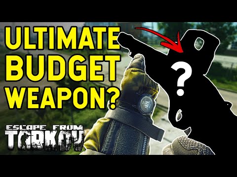 One Of The BEST Budget Guns In Tarkov... Cheap Chad Destroyers