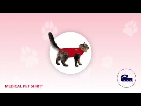 Medical Pet Shirt for Cats