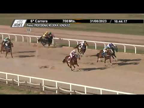 230831 c06 1° OLYMPIC MINE