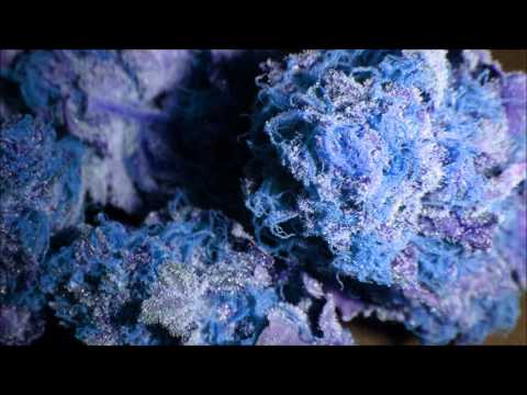 H4Z3 GRB 3 Qualifikation #18 (prod. by LaloProductionsBeatz)