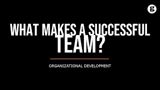 What Makes a Successful Team? Key Characteristics