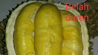 Download lagu Cara belah duren praktis 3 detik duren terbelah mp3