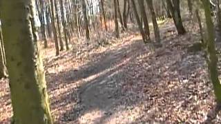 preview picture of video 'North East of Lochore Meadows Country Park March 2011'