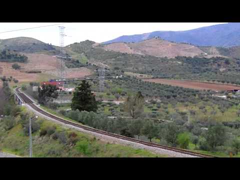 Comboio Especial "Amendoeiras" - Março de 2015