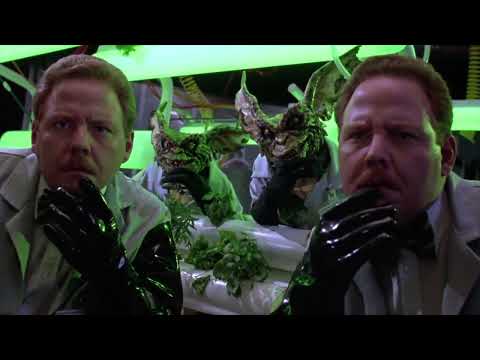 Gremlins 2 - The Gremlins Go Crazy