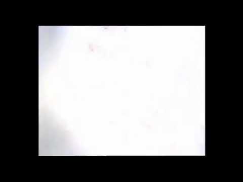 (FIKCIÓ) Story4 arculatváltás 2021.11.14.